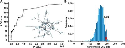 Persistent homology analysis of type 2 diabetes genome-wide association studies in protein–protein interaction networks